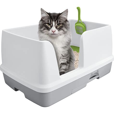 extra large litter box with high sides